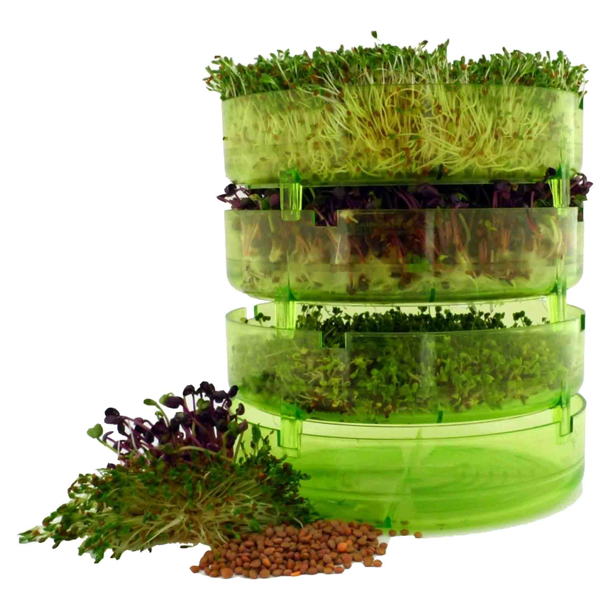 Plus Groddningsställ med Avdelningar