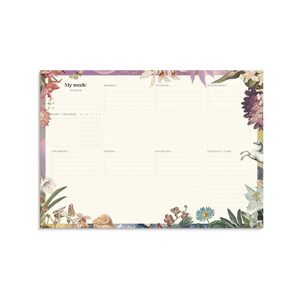 Weekly planner Fantasy