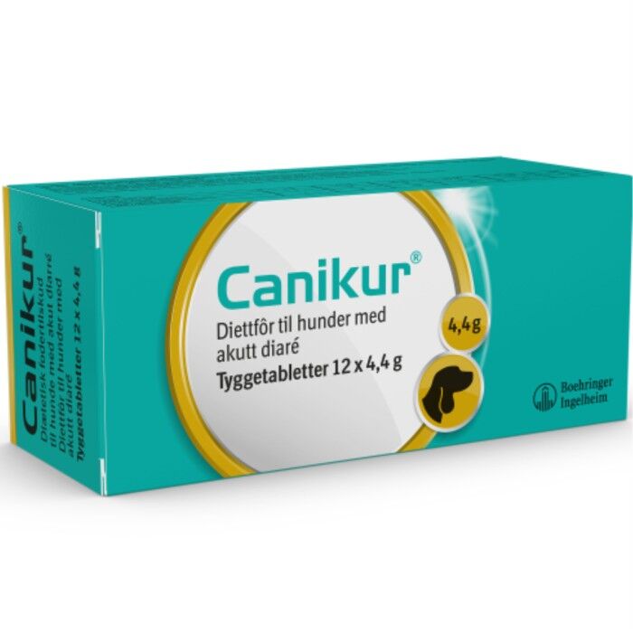 tuggtablett för hund 12 x 4,4 g